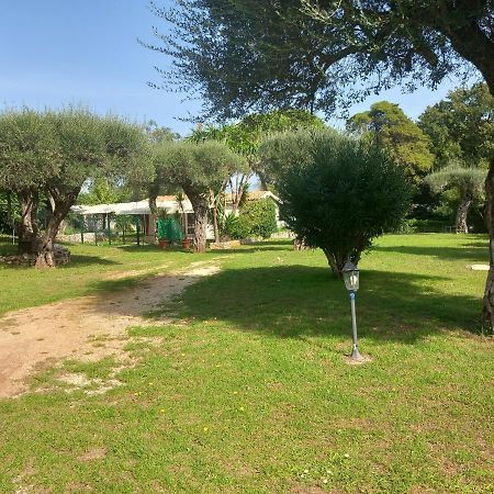 Katia Cottage Кассиопи Экстерьер фото