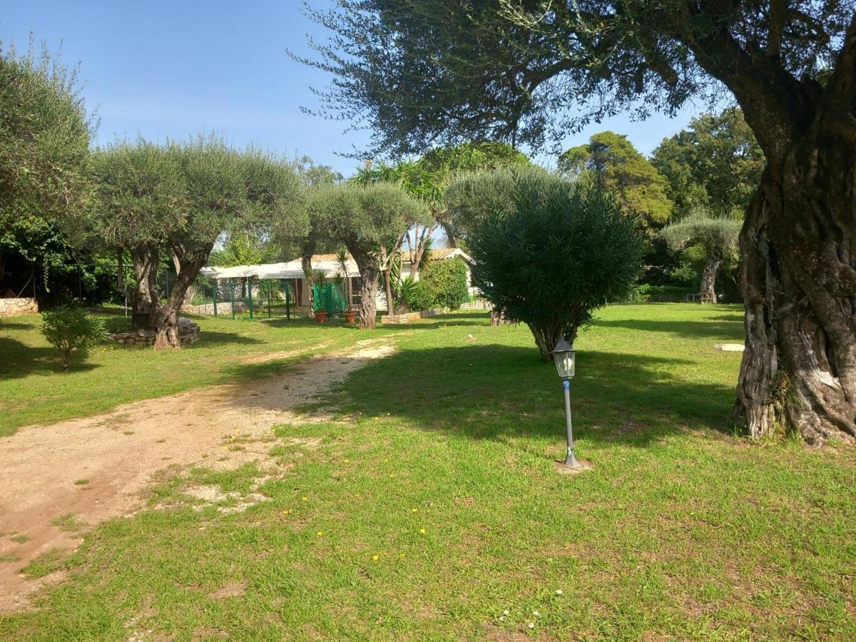Katia Cottage Кассиопи Экстерьер фото